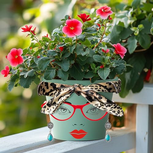 DSjuedui Funny Face Planter Pot Accessories, 29Pcs Face Stickers for Crafts