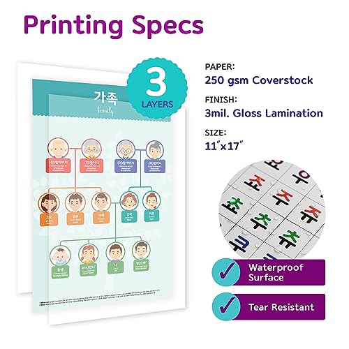 Korean Educational Posters, 11x17 inches, 17 Posters