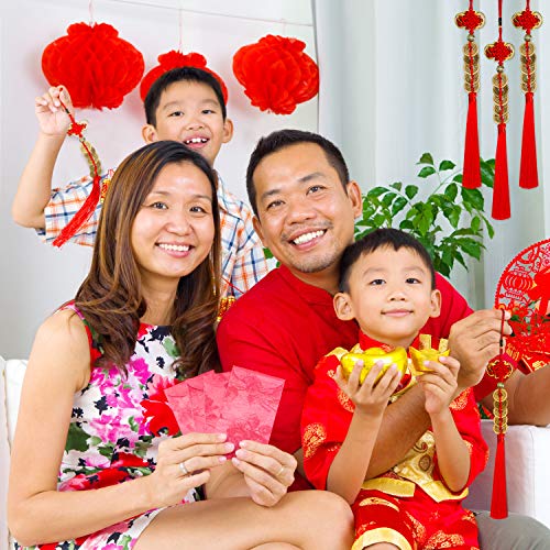 Boao 4 Pcs Chinese New Year Lucky Coins Charms Chinese Knot Feng Shui Tassel Hanging Pendant Decorations for New Year Home Health Wealth Success Lucky Decor with Storage Bags
