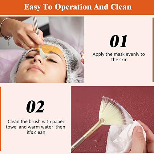 Maitys 9 Pieces Facial Fan Mask Brushes, Champagne - color: Champagne