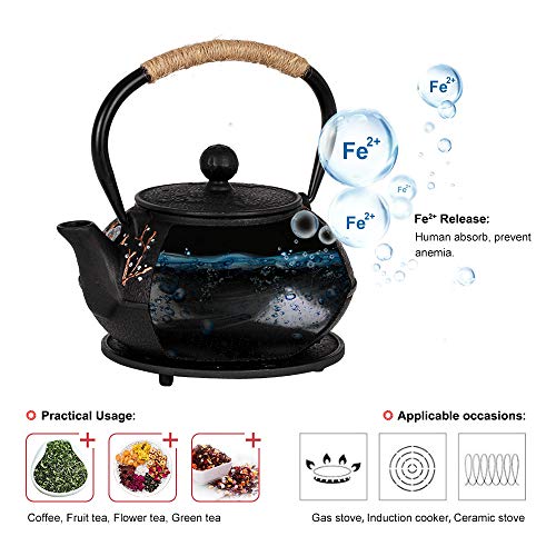 Cast Iron Tetsubin Kettle Teapot Set with Cups Trivet Infuser - color: Plum