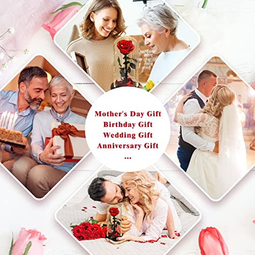 Mothers Day Roes Gifts,Gifts for Mom Flowers for Delivery Prime,Beauty and the Beast Rose in Glass Dome,Birthday Gifts for Women Her Mom Wife Girlfriend Grandma on Mother‘s Day Anniversary - color: Red Rose