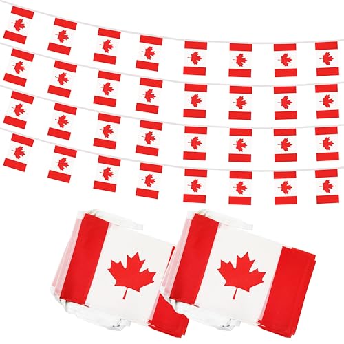 100 Feet Canada String Flag, 76 Pcs Canadian Banner Flag, Small Mini World Banner Flags for Sports Events, Bars Decorations, School Festivals, Party Decorations, Celebrations (Canada) - color: Canada