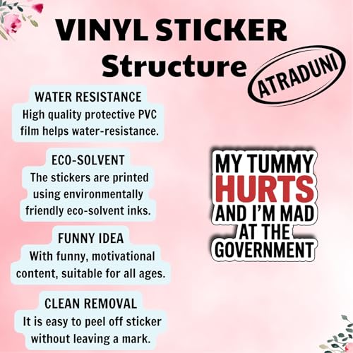 (3Pcs) My Tummy Hurts and I’m Mad at The Government Stickers Funny Sarcastic Quote Humor Gifts Waterproof Vinyl Decals for Kindle Water Bottle Bumper Car Hard Hat Phone Laptop Size 3" x 2.6" - color: My Tummy Hurts and I’m Mad at the Government