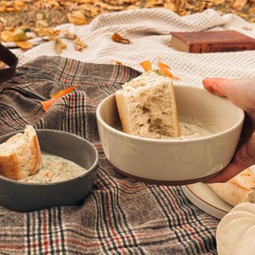 Set of 4 Porcelain Bowls, 25oz - Microwave, Dishwasher & Oven Safe for Soup, Cereal, etc. - color: Assorted Neutrals