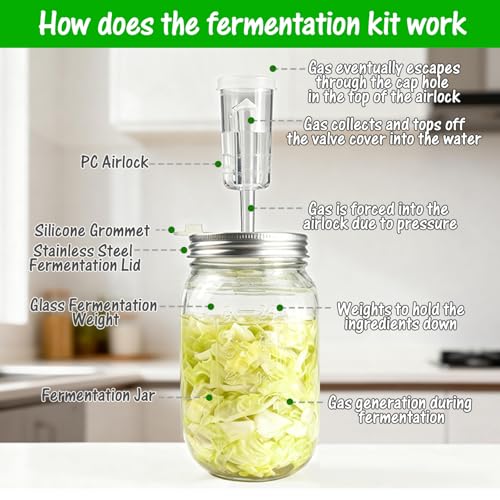 32 oz Mason Jar Fermentation Kit, 2 Pack Fermentation Jars, Fermentation Lids, Fermenting Weights and Airlocks, Complete Fermenting Kit for Making and Storing Sauerkraut（Pack of 2）