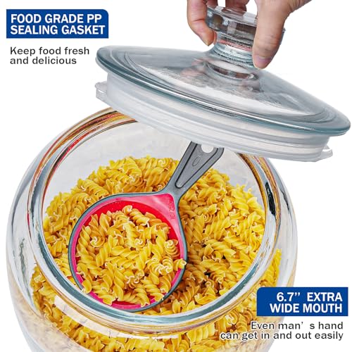 Daitouge 2.5 Gallon Glass Jars with Lids, Wide Opening Large Jar, 1 Pack