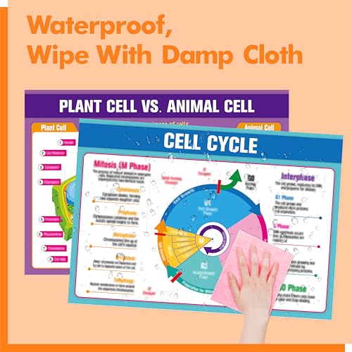 17 Laminated Biology Posters, Human Body System, Cell Anatomy, DNA, Photosynthesis, Educational Science Charts For Middle & High School, Learning Tool For Classroom, Bulletin Board, Room, 11”x16” - color: 17 Laminated Biology Posters