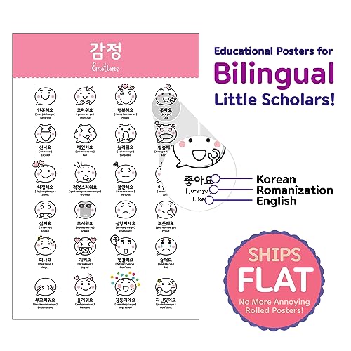 Korean Educational Posters, 11x17 inches, 17 Posters