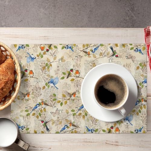 Vintage Bird Placemats Set of 4, Spring Washable Non-Slip Heat Resistant Place Mats, Farmhouse Country Bird Summer Linen Table Mat for Dinner Room Kitchen Indoor Outdoor Decor - color: Retro Bird