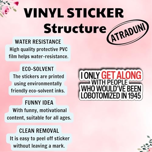 (3Pcs) I Only Get Along with People Who Would’ve Been Lobotomized in 1945 Stickers Funny Dark Humor Sarcastic Quote Gifts Waterproof Vinyl Decals Water Bottle Hard Hat Phone Laptop Size 1.4" x 3" - color: I Only Get Along With People