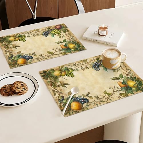 Fruit Placemats Set of 4, Fruits Grape Table Mats, Washable Place Mats for Home Party Indoor Kitchen Dining Table Decoration 12x18 Inch - color: Fruit, size: Set of 4