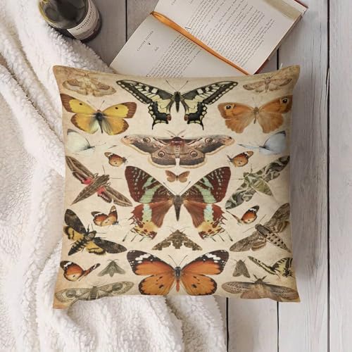 Vintage Butterfly Throw Pillow Covers Butterflies Pattern Decorative Square Animal Print Cushion Pillowcases for Couch Sofa Home Living Room Car Decor 16x16in - color: Beige-orange, size: 16" x 16" (Pack of 2)