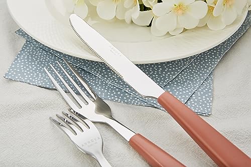 ANNOVA Silverware Set Stainless Steel Colorful Handle Tableware Kitchen Flatware Set Utensils, Includes Dinner Knives, Forks, Spoons & Dessert Spoons (Brown, 16 Pieces) - color: Brown 20Pieces