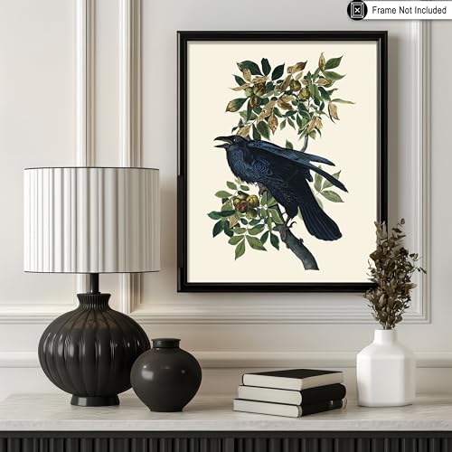 Poster Master Vintage James Audubon Poster - Retro Raven Print - Birds of America Art - Bird Art - Gift for Men, Women & Animal Lover - Decor for Dorm, Bedroom or Living Room - 8x10 UNFRAMED Wall Art - color: Multicolor, size: 8"L x 10"W