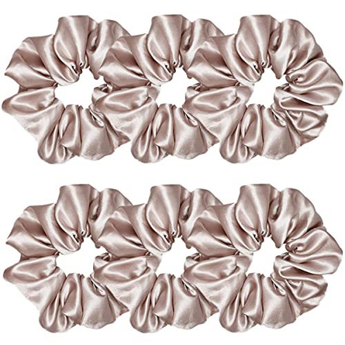 6 Pcs Satin Silk Hair Scrunchies Soft Hair Ties Fashion Hair Bands Hair Bow Ropes Hair Elastic Ponytail Holders Hair Accessories for Women and Girls (4.5 Inch, Champagne) - color: Champagne