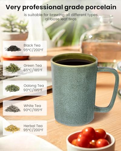 Ceramic Tea Mug with Infuser and Lid,16oz Porcelain Loose Leaf Tea Cup with Large Handle,Metal-Free Filter,Microwave &Dishwasher Safe,Perfect for Tea,Coffee (Sage Green) - color: Sage Green
