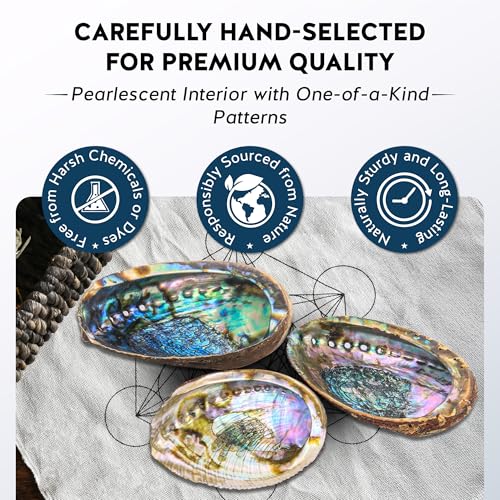 Hand Selected Abalone Shell, 5-Inch+ Polished Smudging & Display Bowl Kit - size: 5 Inches