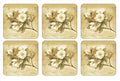 Pimpernel Sugar Magnolia Coasters Set – 4" Cork-Backed Board with Lacquered Finish, Heat & Stain Resistant up to 212°F, Elegant Southern Floral Design for Dining & Coffee Tables - size: 4" x 4" Square, style: Sugar Magnolia