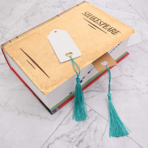 VAPKER 100 Pieces Turquoise Color 13cm/5-Inch Silky Handmade Soft Tassels Floss Bookmark Tassels with 2-Inch Cord Loop for Jewelry Making, DIY Projects, Bookmarks - color: N:turquoise
