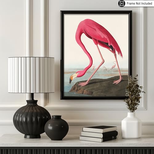 Poster Master Vintage American Flamingo Poster - Retro Pink Flamingo Print - Bird Art - Gift for Him, Her, Animal Lover - Perfect Decor for Living Room, Ocean or Beach House - 8x10 UNFRAMED Wall Art - color: Style-01, size: 8"L x 10"W