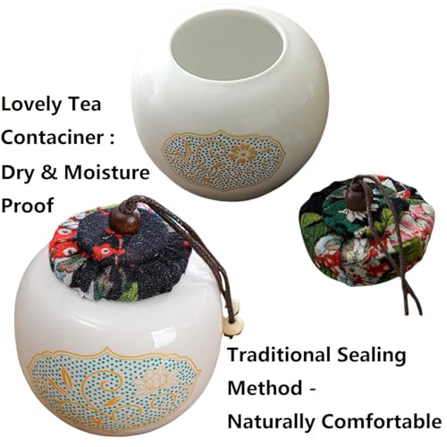 Porcelain Chinese Gongfu Tea Set,Portable Teapot Set Ceramic Travel Sets with Teapot and Infuser/Cups in Bag Asian Tea Sets Gift for Birthday/Father's day/Festivals,Outdoor Traveling,Office Business