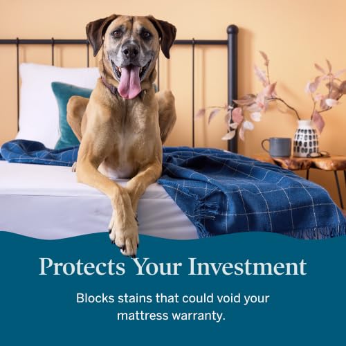 Lucid® Zippered Mattress Encasement – Waterproof Protector – King - size: King, style: Mattress Encasement