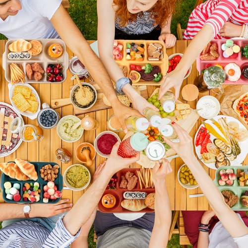 Pinkunn 8 Pcs 13'' Divided Plates for Adults Wheat Straw, Colorful - color: Colorful