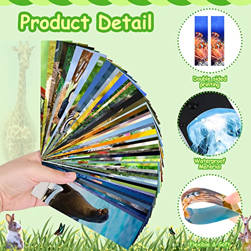 300PCS Animal Bulk Bookmarks for Kids Classroom 60 Designs Cool Wildlife Bookmark Cute Book Mark Double Sided Bookmark for Book Lovers Students Children Rewards Gifts - color: 300 Animals