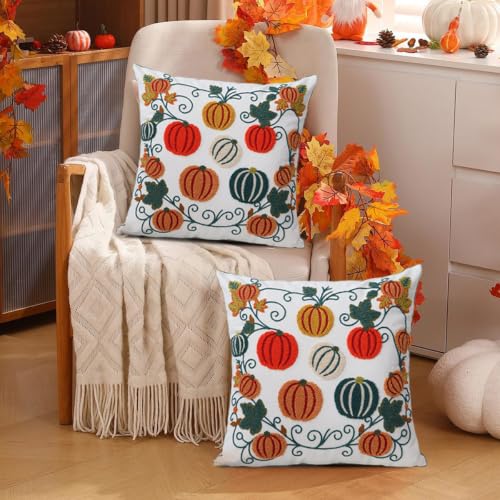 Set of 2 Embroidered Decorative Throw Pillow Covers Couch Square Pillowcases Cushion for Bedroom Sofa Farmhouse Decor 18x18 Inch (Cute Little Pumpkin) - color: Cute Little Pumpkin