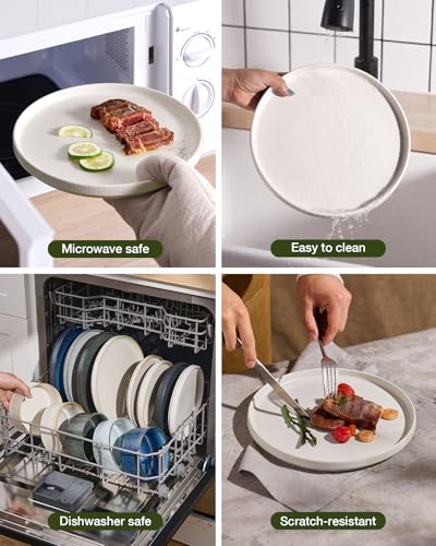 Famiware Star Stoneware Dinnerware Sets for 8, Reactive Glaze Plates, Bowls - color: Matte White