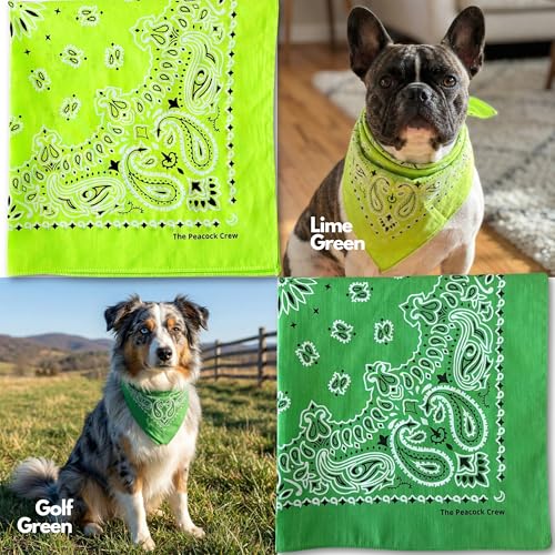 The Peacock Crew Premium Soft Cotton Bandanas Pack for Men and Women Paisley 22 x 22 inches - color: Pack of 10 Multicolor