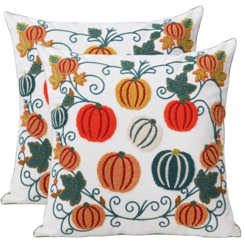 Set of 2 Embroidered Decorative Throw Pillow Covers Couch Square Pillowcases Cushion for Bedroom Sofa Farmhouse Decor 18x18 Inch (Cute Little Pumpkin) - color: Cute Little Pumpkin