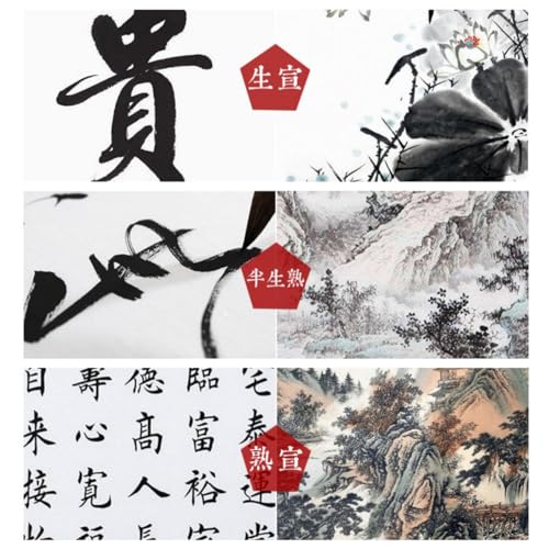 KYMY Chinese/Japanese Calligraphy Paper 100PCS, Sumi/Rice Paper for Writing Painting Drawing Practice, Chinese Brush Ink Xuan Paper, Half Sheng Shu (Half Raw Ripe) (34 x 34 cm (13.38 x 13.38 Inch)) - size: Half Sheng Shu(Raw Ripe)-34 x 34 cm (13.4x13.4in)