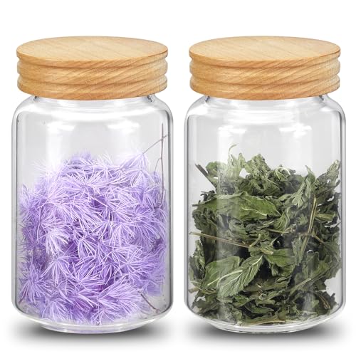 Small Glass Jars with Airtight Lid Seasoning Containers Glass Spice Jar Food Pantry Storage Containers for Kitchen Sugar Tea Coffee Bean Nuts Cookies Herbs Salt (23oz(700ml)*2pack) - color: 23oz(700ml)*2pack