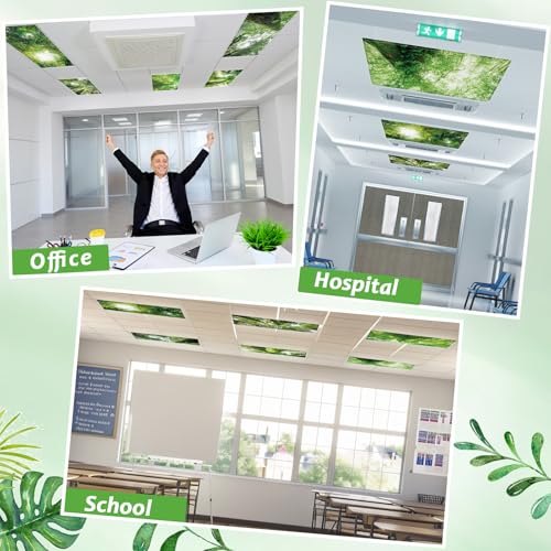 6 Pcs Fluorescent Light Covers with 60 Magnets Decorative for Classroom Ceiling Lights 4 x 2 Feet Magnetic Light Cover Filter Easy Install for Office Hospital Home Ceiling Supplies (Rainforest) - color: Colorful