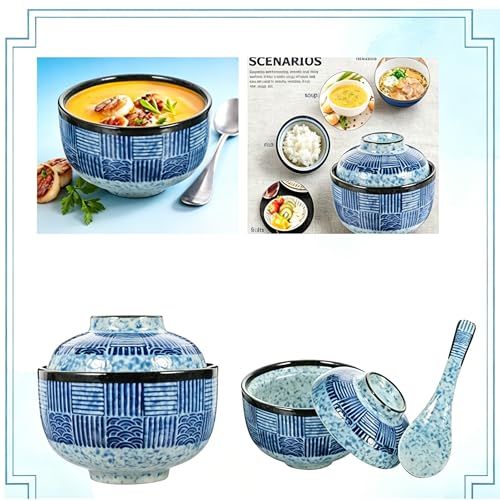 Japanese Ceramic Soup Bowls with Lid & Spoon