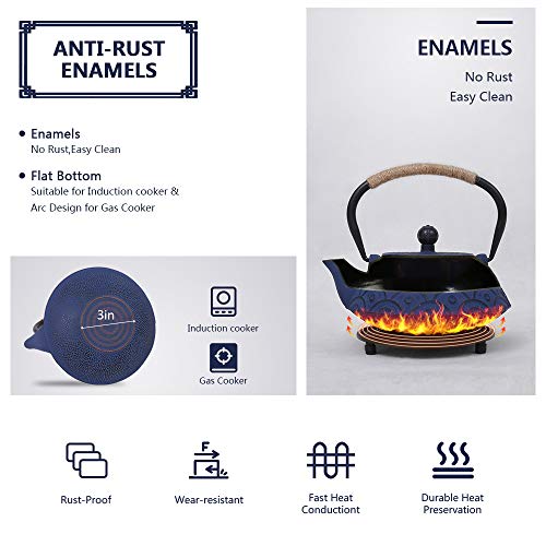 Japanese Style Cast Iron Teapot Set Tetsubin Kettle with Infuser - color: Fish Scale