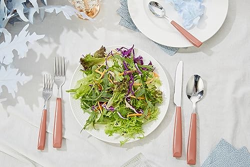 ANNOVA Silverware Set Stainless Steel Colorful Handle Tableware Kitchen Flatware Set Utensils, Includes Dinner Knives, Forks, Spoons & Dessert Spoons (Brown, 16 Pieces) - color: Brown 20Pieces