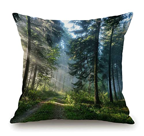 Solekla Misty Forest Pillow Covers 18x18 Farmhouse Decorative Sunshine Trees Throw Pillow Covers for Patio Furniture and Couch - color: Sl215