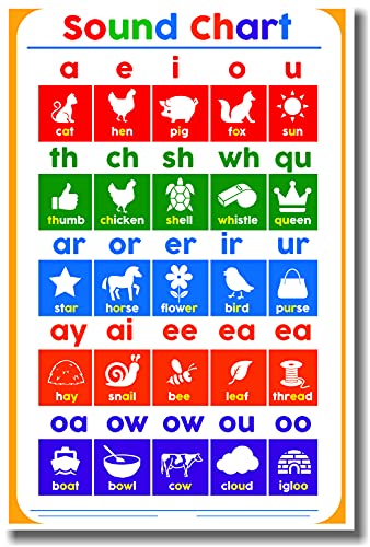 Phonics Sound Chart Elementary Classroom Spelling Reading 12"x18" US Made Poster