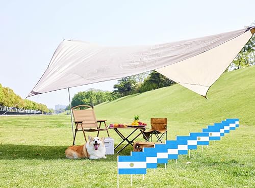 tibijoy 50 Pack Argentina Argentine Flags, Mini Hand Held Country Flags, Party Decorations Supplies for Parades, International Festival - color: Argentina