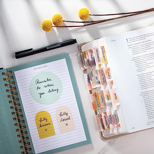 DiverseBee Transparent Sticky Notes Set with Quick Dry Pen (Matera) - color: Matera
