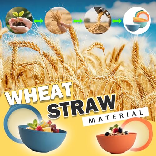 Wheat Straw Bowls Set with Lids, Unbreakable 40 OZ Cereal Bowls Set of 4, Salad Container for Lunch, Microwave & Dishwasher Safe Bowl Set for Kitchen, Picnic, RV, Camping, Multi - color: Multicolor, size: 40 OZ with Lid