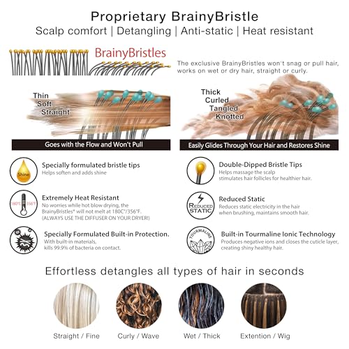 NuWay® TravelC® Scalp Care Hair Brush with Patented Travel Case – Vented Hair Brush for Scalp Massage, Blow-Dry Styling, Wet & Dry Hair, All Hair Types (Turquoise) - color: Turquoise