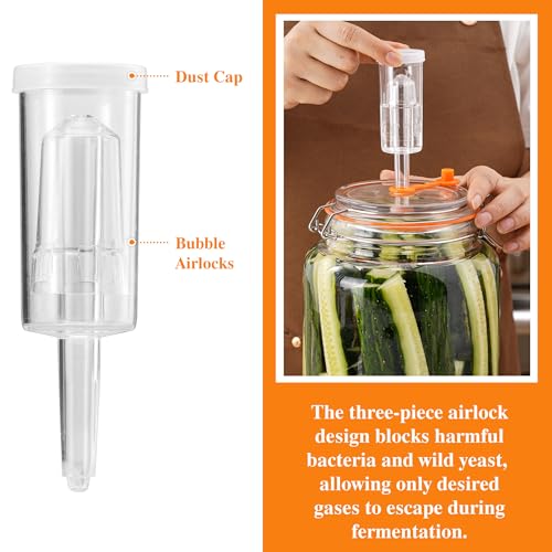 1 Gal Fermentation Kit, Jars, Weights & Airlocks, 2 Pack - size: 1 Gallon