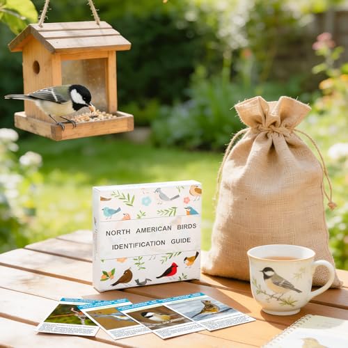 North American Bird Identification Cards, 30 Backyard Birds for Bird Lovers