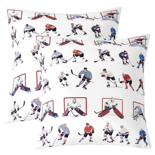 Feelyou Ice Hockey Throw Pillow Cover 1 Piece 24"x24" - color: Multi 01, size: 24" x 24" (Pack of 1)