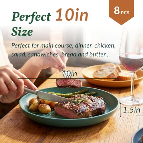 Homienly 10 inch Wheat Straw Dinner Plates Set of 8 - Alternative to Plastic, Microwave & Dishwasher Safe, Unbreakable Kids Plates with 4 Colors (Classic Bright) - color: Classic Bright, size: 10 Inch
