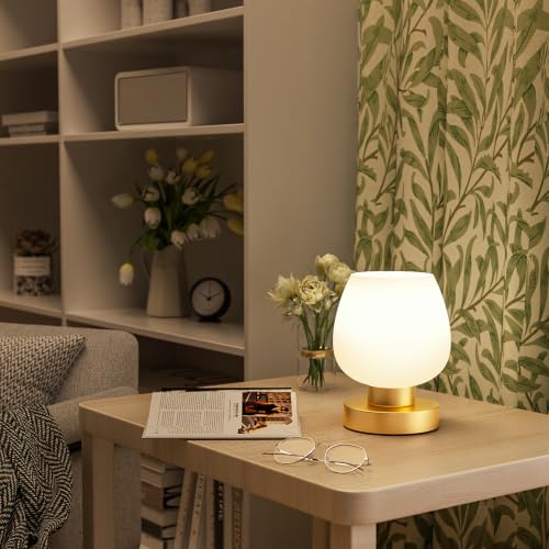 Seealle Small Touch Table Lamp for Nightstand, 3 Way Dimmable Bedside Lamp - color: Gold